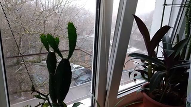 Навожу порядок на кухне / Мотивация на уборку / Весенняя уборка / Anika Z хозвлог смотреть онлайн