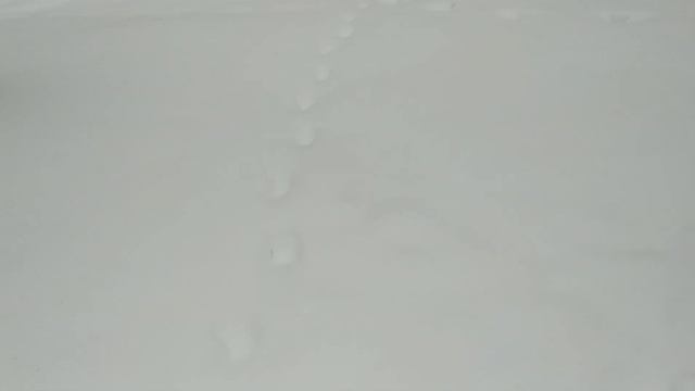 ВОТ ТАКАЯ У МЕНЯ ПРОГУЛКА смотреть онлайн
