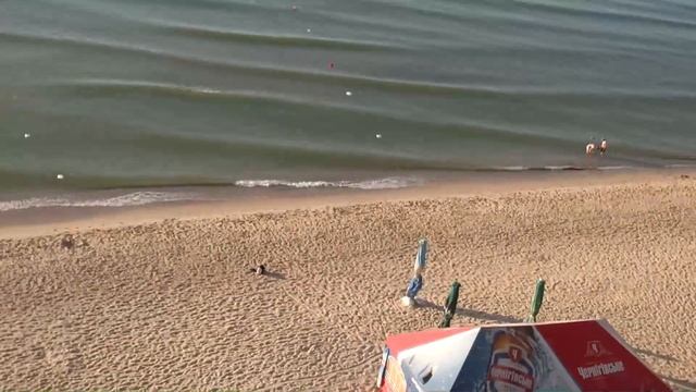 СМОТРЕТЬ и ЗАВИДОВАТЬ ВСЕМ !!! Волшебная еда & СТАСяныч на море ??? смотреть онлайн