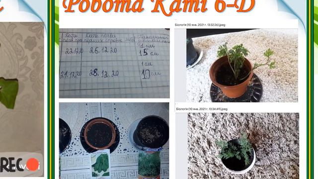 Дослідницький практикум 6 клас смотреть онлайн