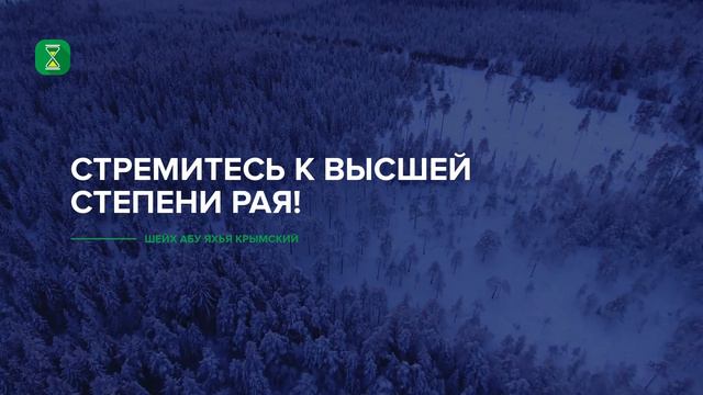 Стремитесь к высшей степени Рая. 11.11.2020 | Шейх Абу Яхья смотреть онлайн