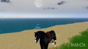 2 часть блога!! Остров диких лошадей роблокс_лошадь