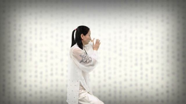 Wang Heng-Tai Chi смотреть онлайн