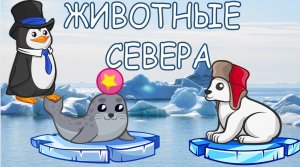 ЖИВОТНЫЕ СЕВЕРА  Развивающее видео для малышей Карточки Домана