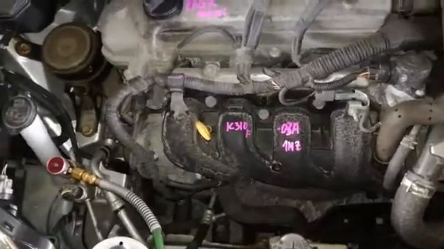 Контрактный двигатель Япония TOYOTA RACTIS / Тойота Рактис / NCP125 1NZ-FE D883752 А/Т 4WD