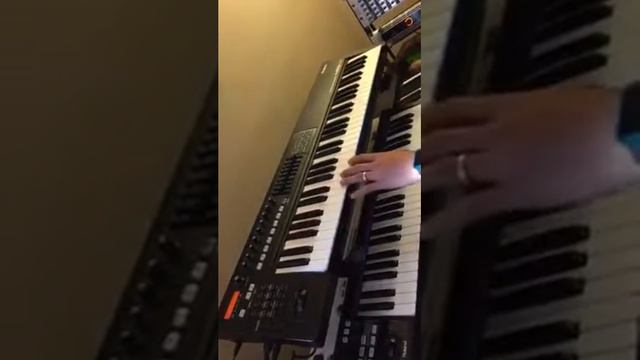 Roland A-49 And Roland A-800 Pro