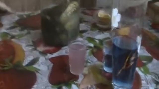 Навчальний проект "Природні індикатори" /Учебный проект "Природные индикаторы" смотреть онлайн