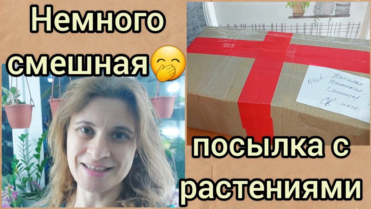 Когда очень хочется?Немного смешная #посылка ?Чем обрабатываю новые #растения #цветы #распаковка смотреть онлайн