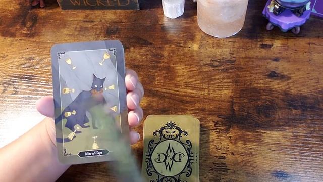 Dark Wood Tarot Unboxing and Flip Through смотреть онлайн