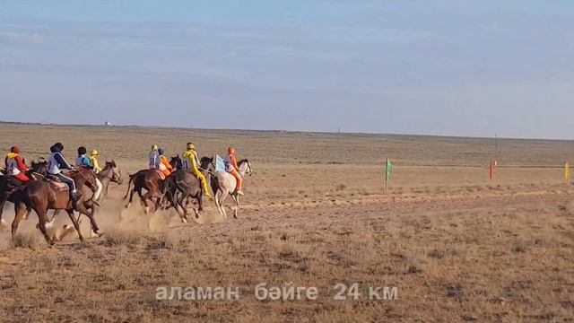 02.06.2022г. Аламан бәйге IV-место арабский жеребец Оқжетпес (Гвискар от Вивата и Галканы) смотреть онлайн
