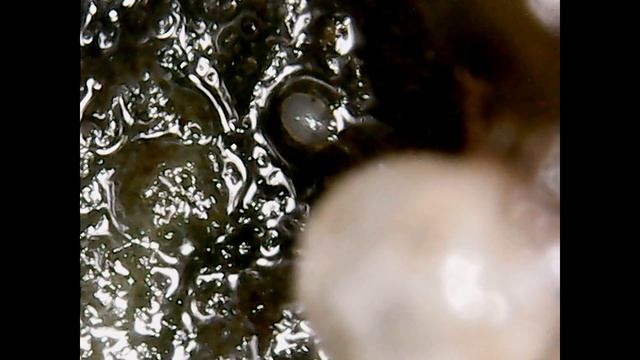 Дизайн Одежды