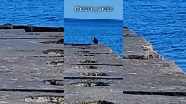 Я - бесконечность! Ощути свободу! @helen_sneba смотреть онлайн