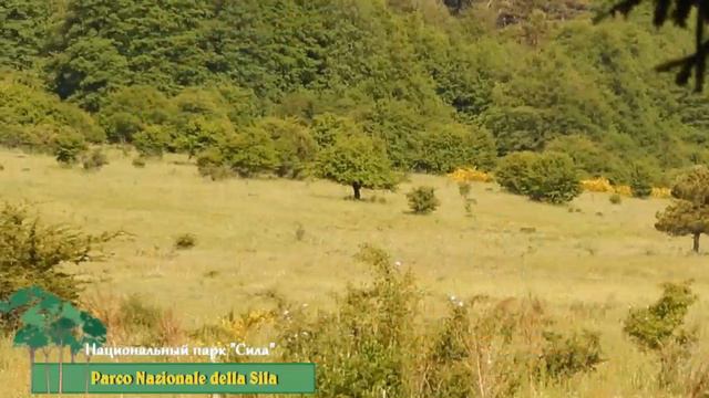 🎦 Национальный парк "Сила" (Parco Nazionale della Sila) в Италии смотреть онлайн