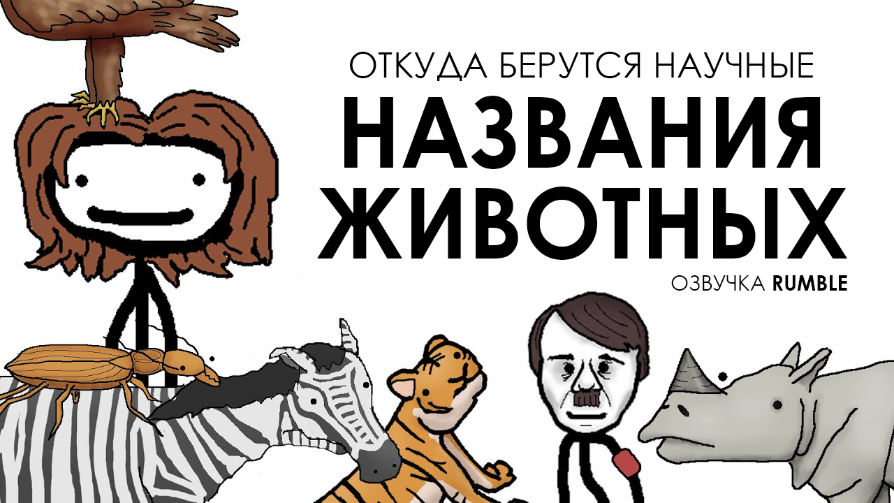 Откуда берутся научные названия животных - Академия Сэма Онеллы (Озвучка Rumble)
