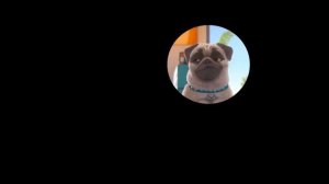 30 minutes of Mighty Mike 🐶⏲️ // Compilation #8 - Mighty Mike