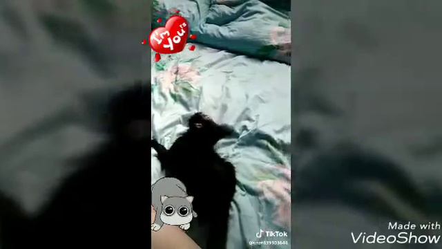 С днём рождения Космос! 3 месяца смотреть онлайн