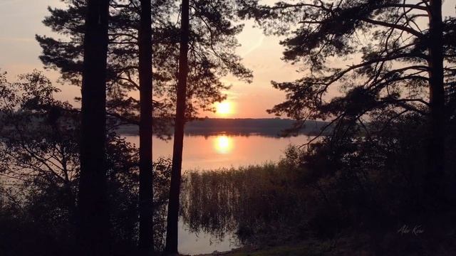 На Волгу с палатками | Золотая осень смотреть онлайн