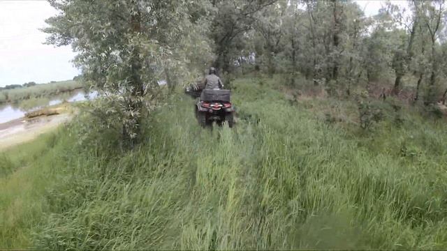 До Костюкович по бездорожью 12 июня 2021