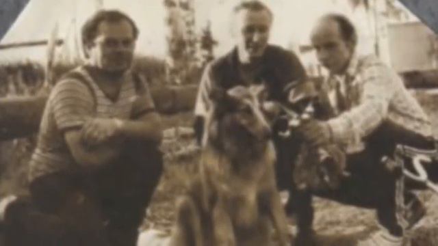 Папе с юбилеем .m4v смотреть онлайн