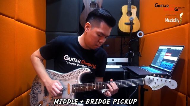 The Revival Pickups - Grey Bottomed Blues RPS2 (Full Song Demo) смотреть онлайн