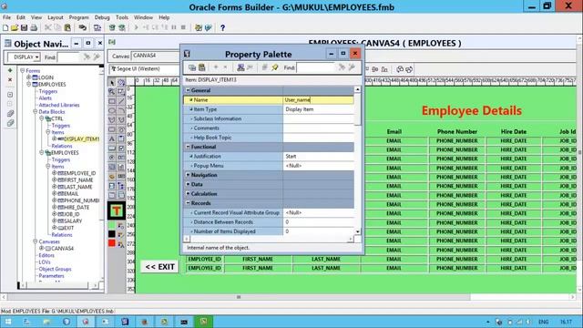 How to Display user name in Oracle Form -ORACLE SUPPORT смотреть онлайн