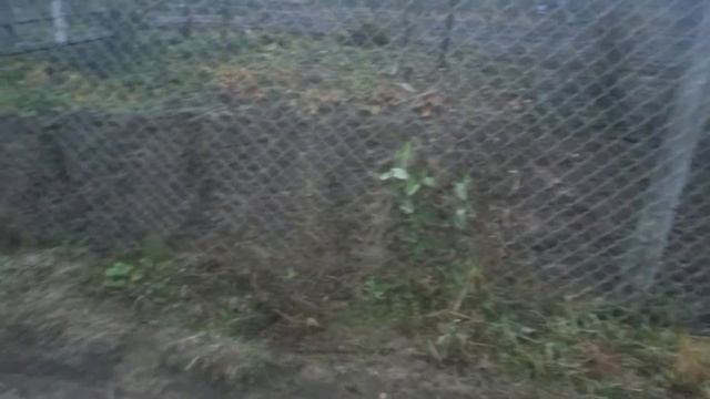 Ещё раз грядки. Что делает муж. Коршуны. смотреть онлайн