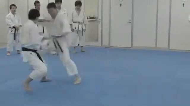 Karate WARRIORS OF BUDO. Episode two with S. Mikio Yahara смотреть онлайн