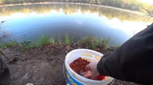 Рыбалка на карася весной ! Рыбалка на фидер и пружину на озере!