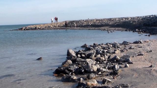 Молочный лиман ,Вторая часть . 2020.С 11 по 19 января .