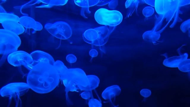 90s 2000s HIPHOP MIX ?? Snoop Dogg, Dr. Dre, Ice Cube, YG, 2Pac, DMX,... ?? Rap Songs of All Time смотреть онлайн