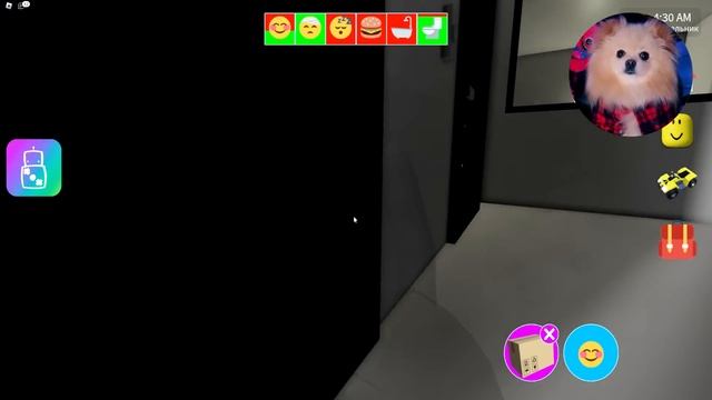 КАКАЮЩИЕ КОТИКИ ! МЫ НАШЛИ СМЕШНОГО КОТА ! ВЕСЕЛАЯ ВЕЧЕРИНКА КАКАШЕК КОТИКОВ В ROBLOX смотреть онлайн