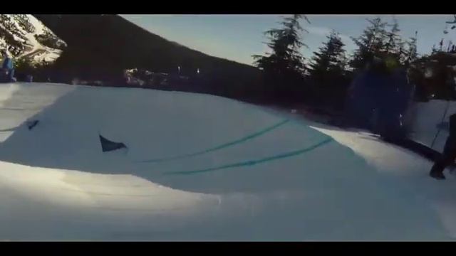 Olympic Ski Cross 2010