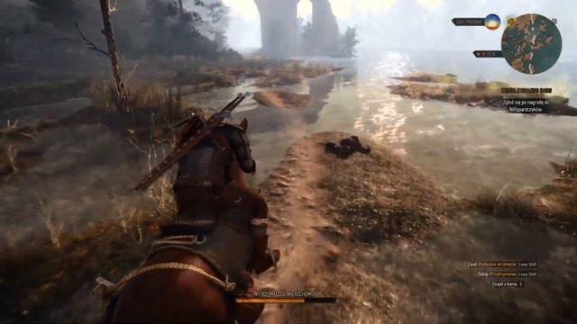 Zagrajmy w Wiedźmin 3 Dziki Gon Edycja Kompletna Walka z Gryfem [Next Gen] odc.6 100% смотреть онлайн