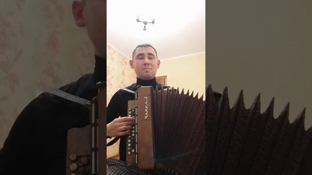 DaBro Юность звук поставим на всю и соседи не спят... (кавер) гармонь чайка-2 смотреть онлайн