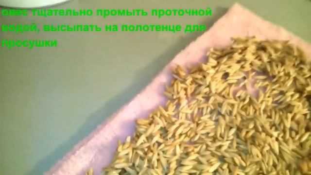 ОВЁС - ЧИСТИТ ПЕЧЕНЬ, ВЫВОДИТ ТОКСИНЫ И ШЛАКИ, ОТ ОТЕКОВ, НАЛАЖИВАЕТ ПИЩЕВАРЕНИЕ!!! смотреть онлайн