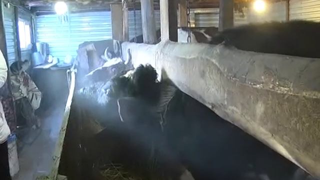 В Мамадышском районе проходят сходы