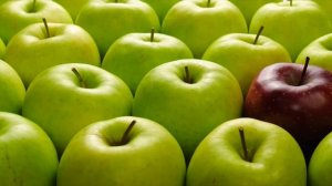 ? 10 фактов о яблоках, благодаря которым тебе захочется съесть яблоко прямо сейчас ?