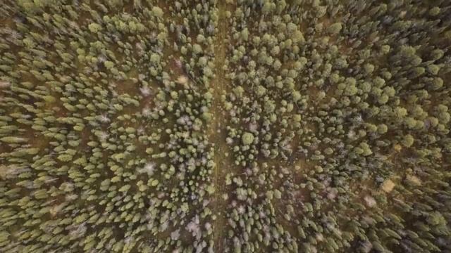 ЛЕСНАЯ ИЗБА 3 серия 5 - ПОИСК ЗАБРОШЕННОЙ ИЗБЫ. Добрые походы 1ч смотреть онлайн
