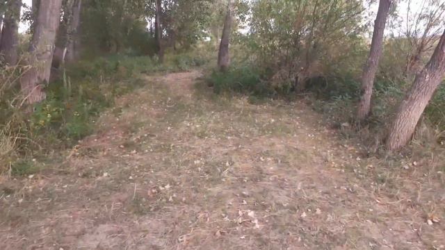 Страна Казахстан, город Павлодар, красивые места которые находятся за городом смотреть онлайн