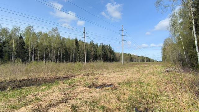 ЛЭП. ч.5. Апрель 2024 смотреть онлайн
