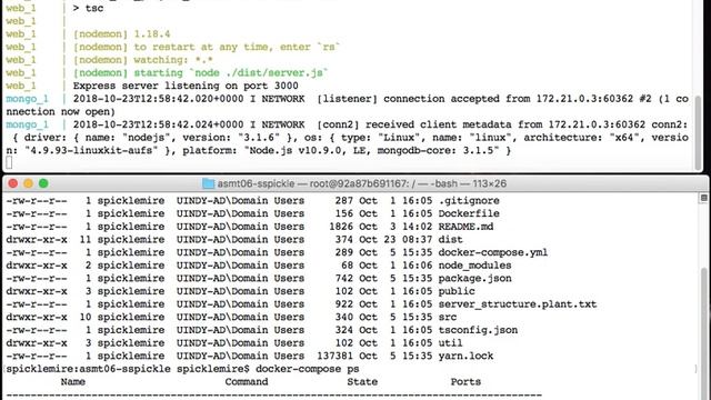 Export Data from Mongo DB using a Docker Container. смотреть онлайн
