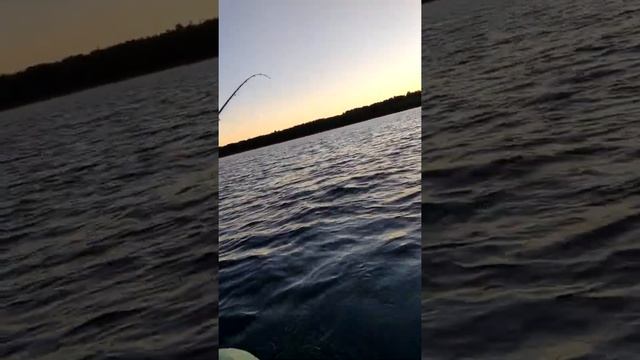 Спиннинг Доюй BLACK DRAGON, от 5 гр до 25гр, 210см и Воблер PONTOON 21, Greedy-Guts 88SP-SR смотреть онлайн