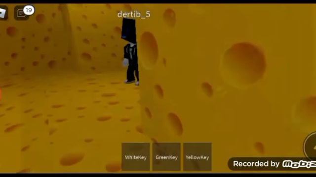 где найти фиолетовый ключь в крысе