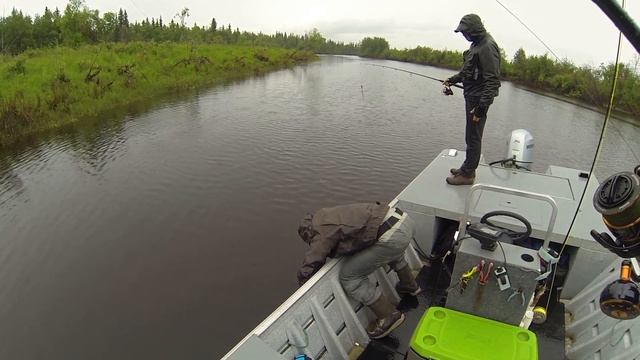 Фотография с щукой смотреть онлайн