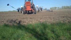 Посев подсолнечника ЮМЗ-6АКЛ и сеялкой УПС-6