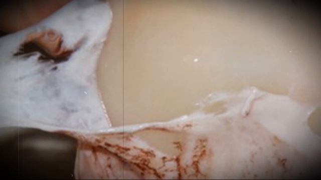 Как чистить кальмары быстро и просто смотреть онлайн