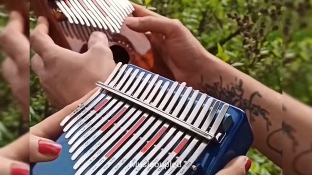 Duet of kalimba смотреть онлайн