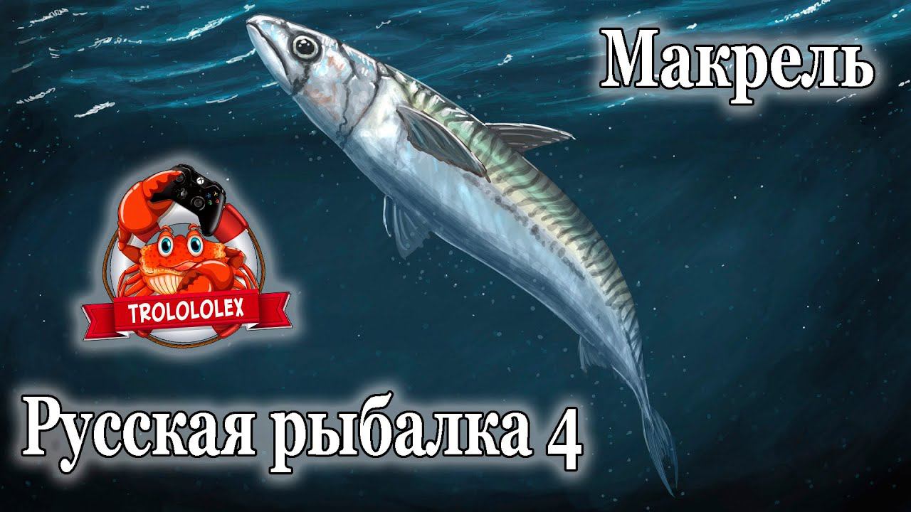 Русская рыбалка 4 Макрель. Трофей + Фарм смотреть онлайн