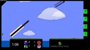 Cricket World Cup Marble Race 4 \ Marble Race King