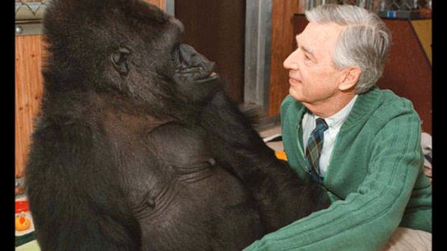 Take On Mr. Rogers - Aha and Mr. Rogers mashup смотреть онлайн